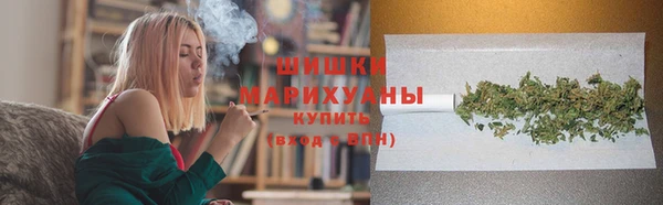 мдпв Дмитров