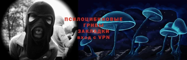 мдпв Дмитров
