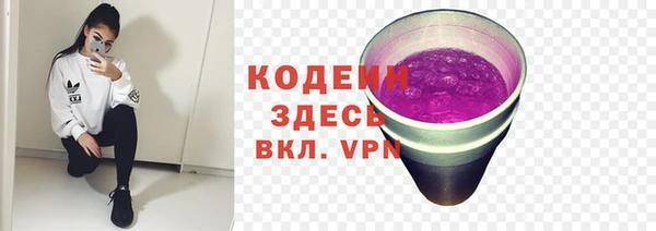 мдпв Дмитров