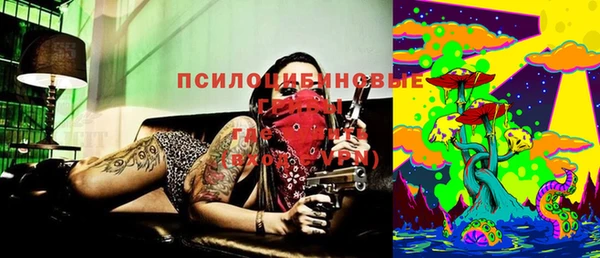 мдпв Дмитров