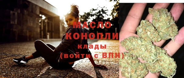 мдпв Дмитров
