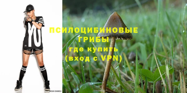 мдпв Дмитров