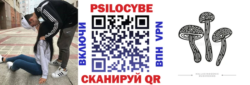 Псилоцибиновые грибы Psilocybine cubensis  Купить где  Туймазы 